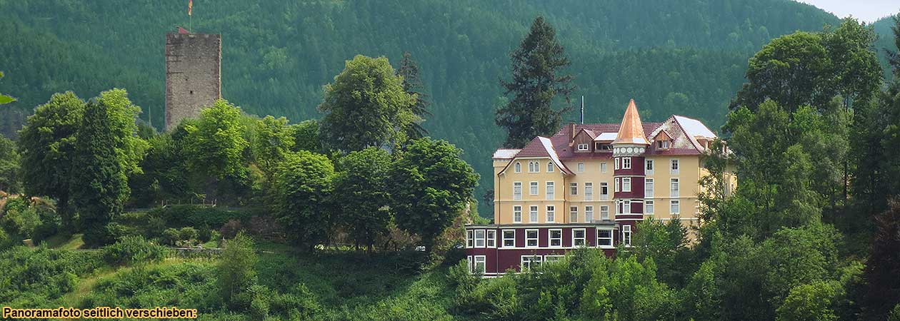 Holidays in the castle hotel in the Black Forest, holiday between Offenburg, Freudenstadt, Villingen-Schwenningen and Freiburg im Breisgau